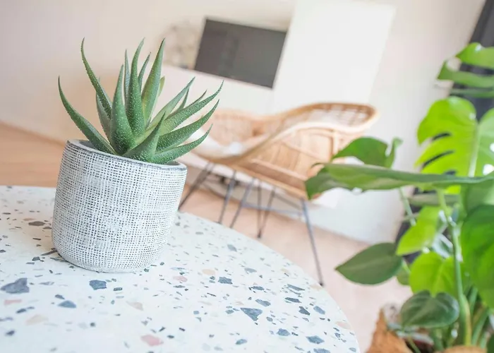 Ostend Studio 公寓 奥斯滕德