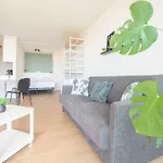 Ostend Studio 오스텐드