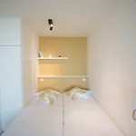 Ostend Studio Apartmán