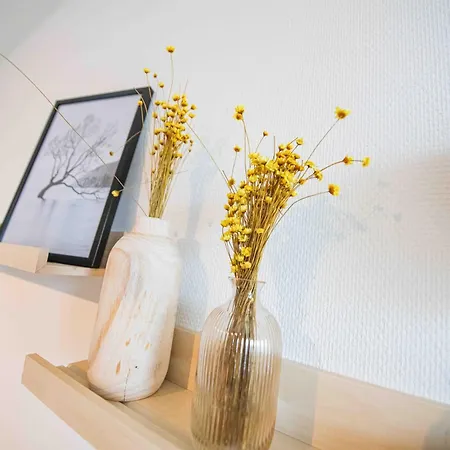 Ostend Studio Appartamento Ostenda