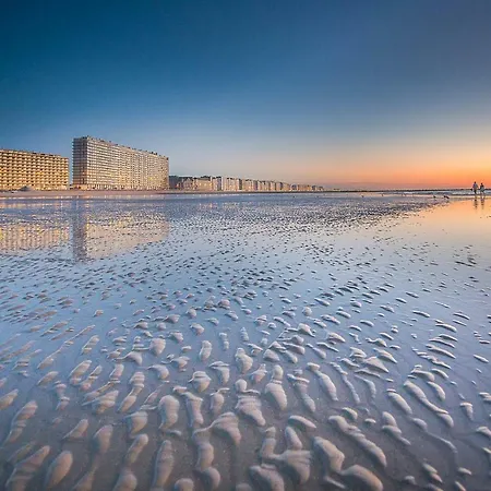 Ostend Studio Ostenda